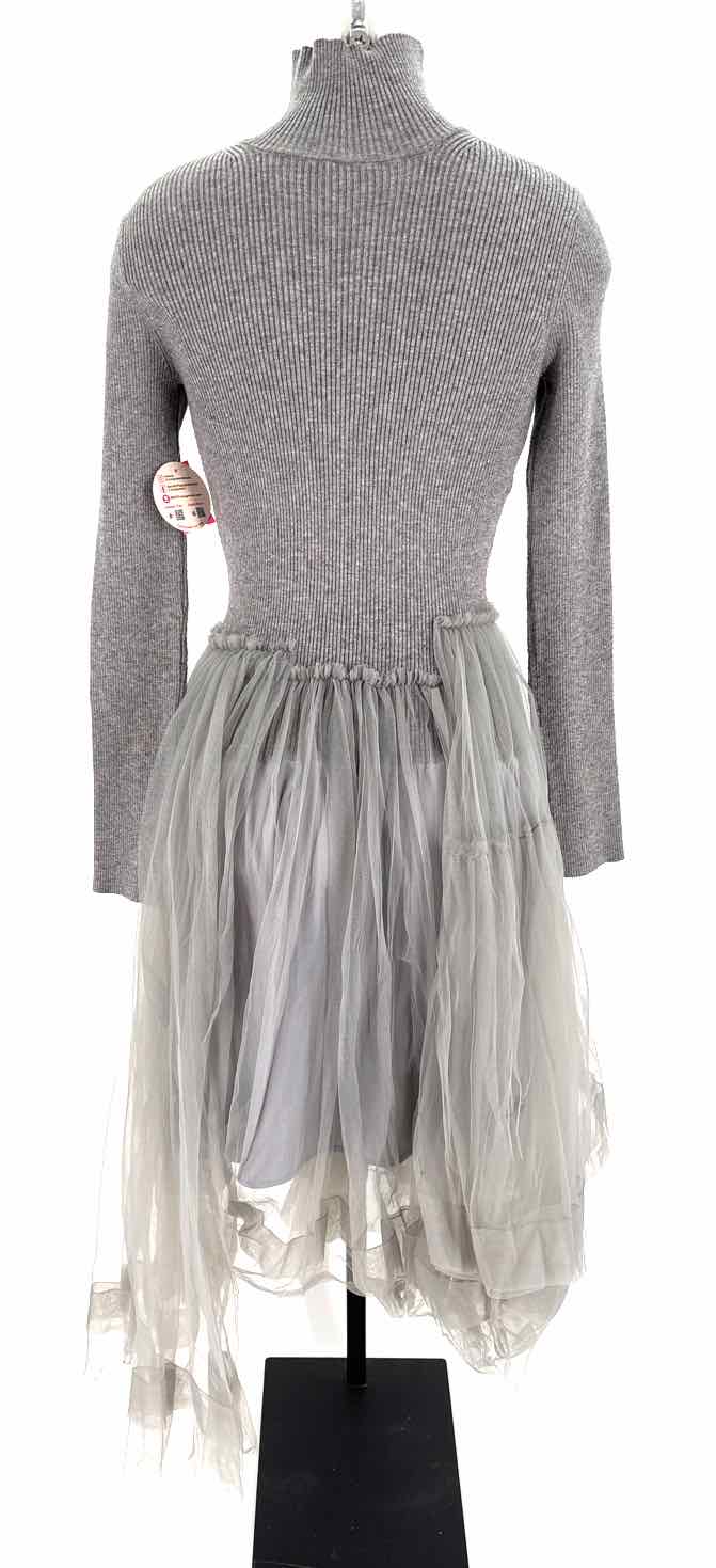 Size L Gray Dress