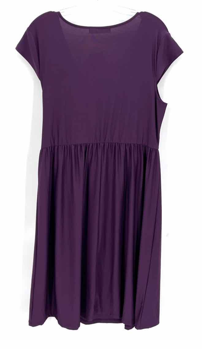 Size XL Purple Skirt