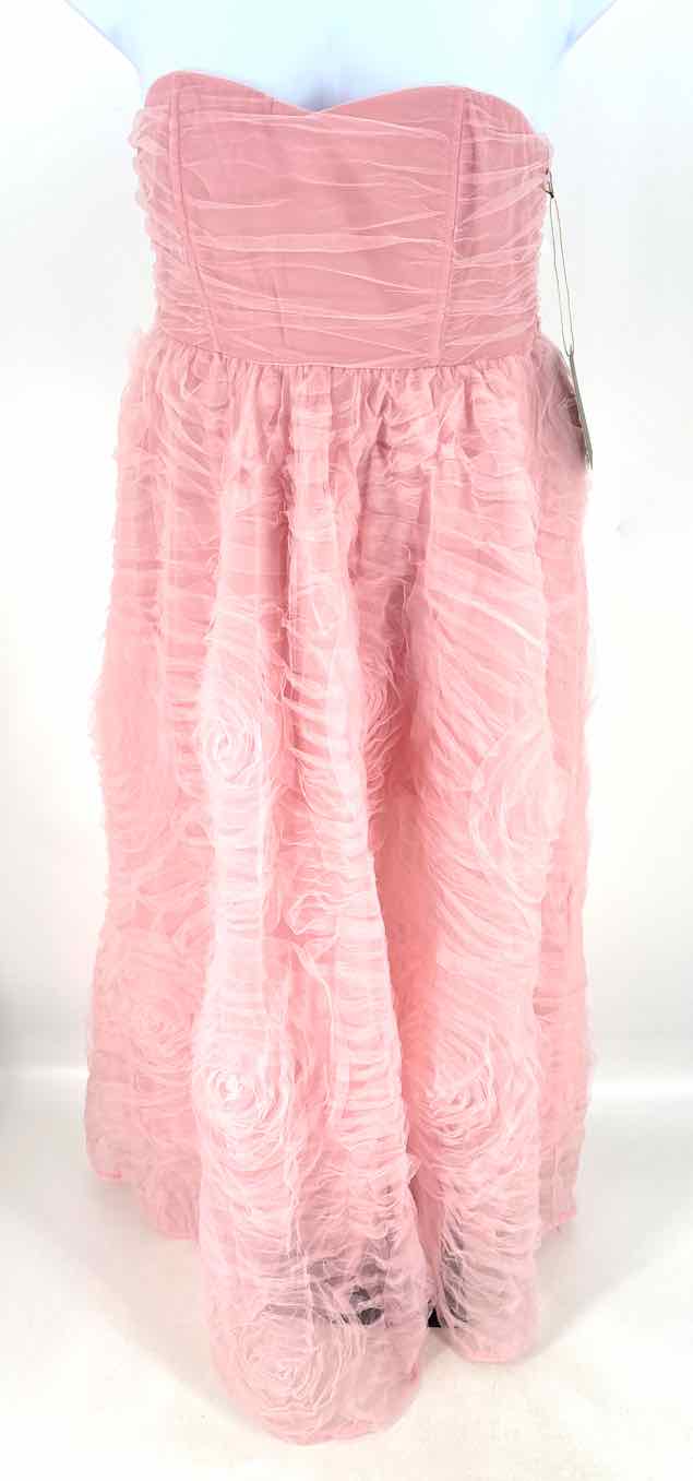Size XL Forever 21 Pink Dress