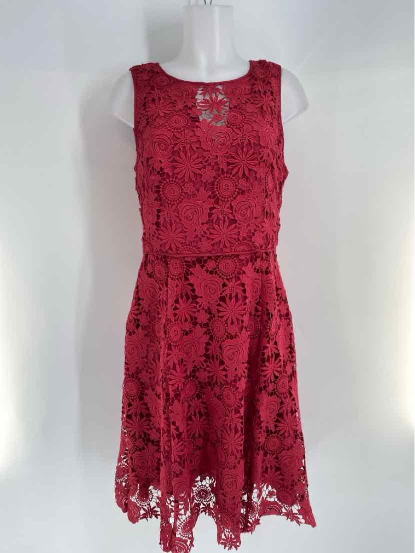 Size 10 White House Black Market Burgundy Lace Dress