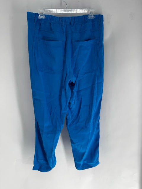Size 8 MAEVE Turquoise Sateen Pants