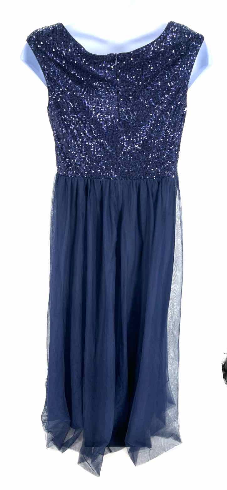 Size 4X Navy Mesh Dress