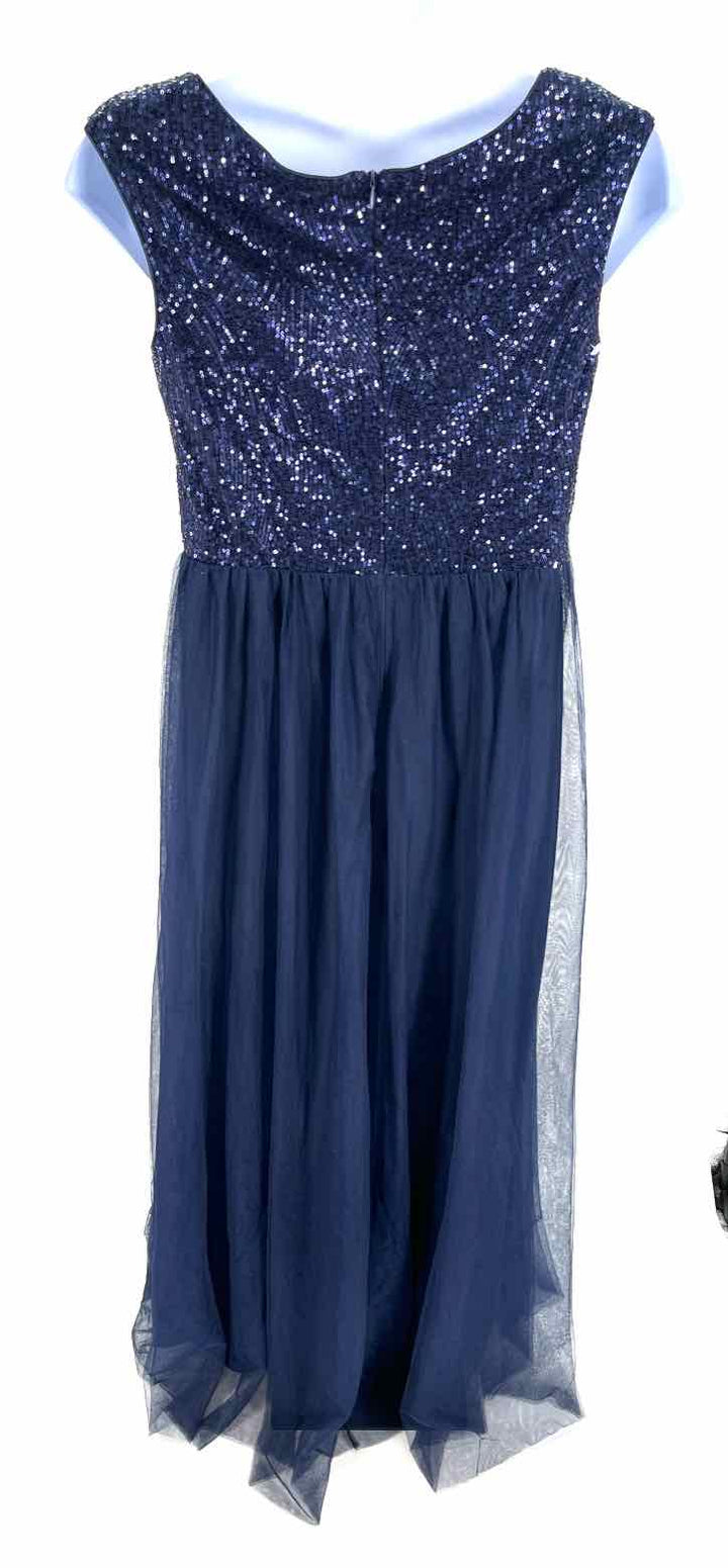 Size 4X Navy Mesh Dress