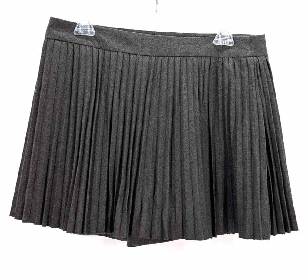 Size XL ZARA Gray Skirt