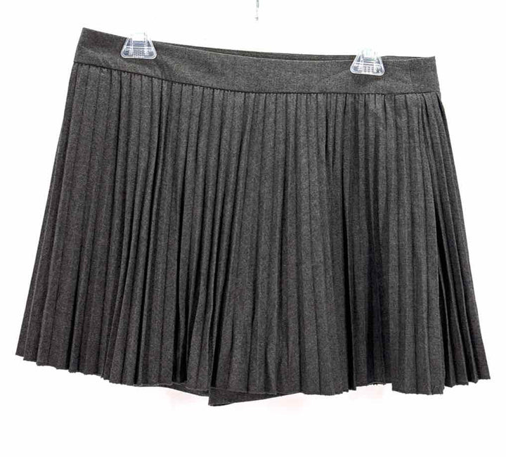 Size XL ZARA Gray Skirt