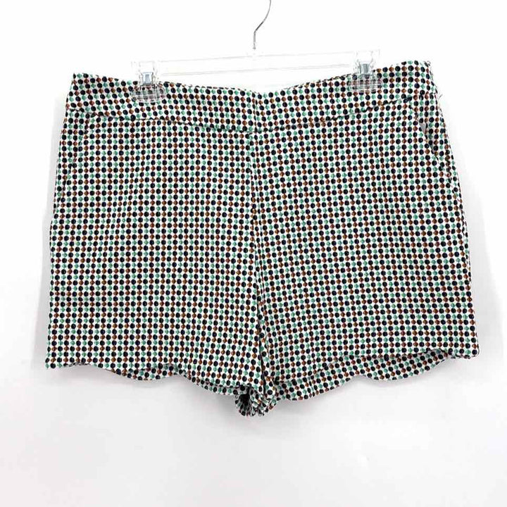 Size 14 Anthropologie Multi-Color Shorts