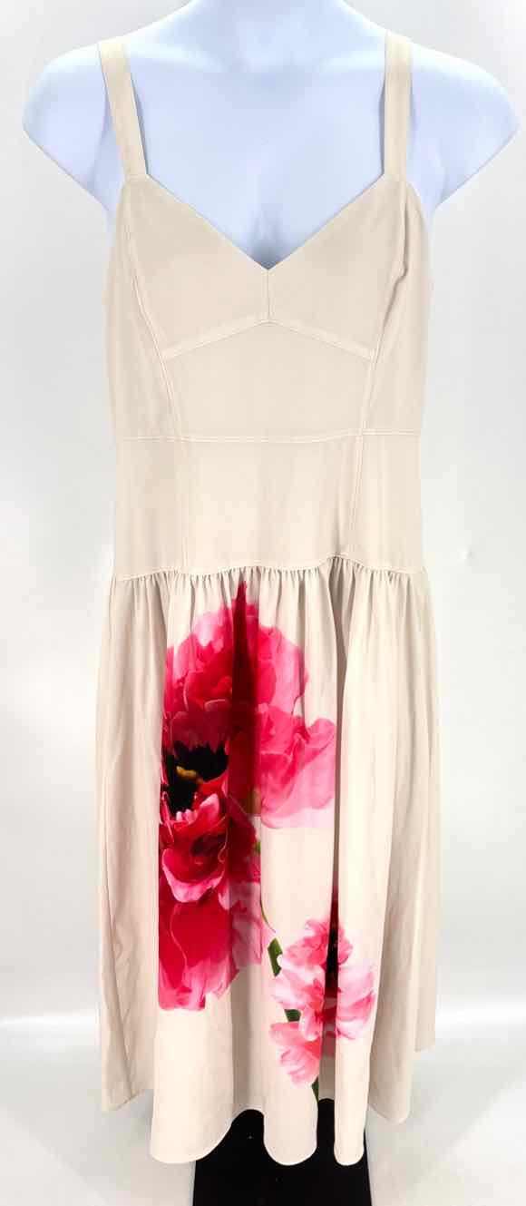 Size 16 EXPRESS Ivory Dress
