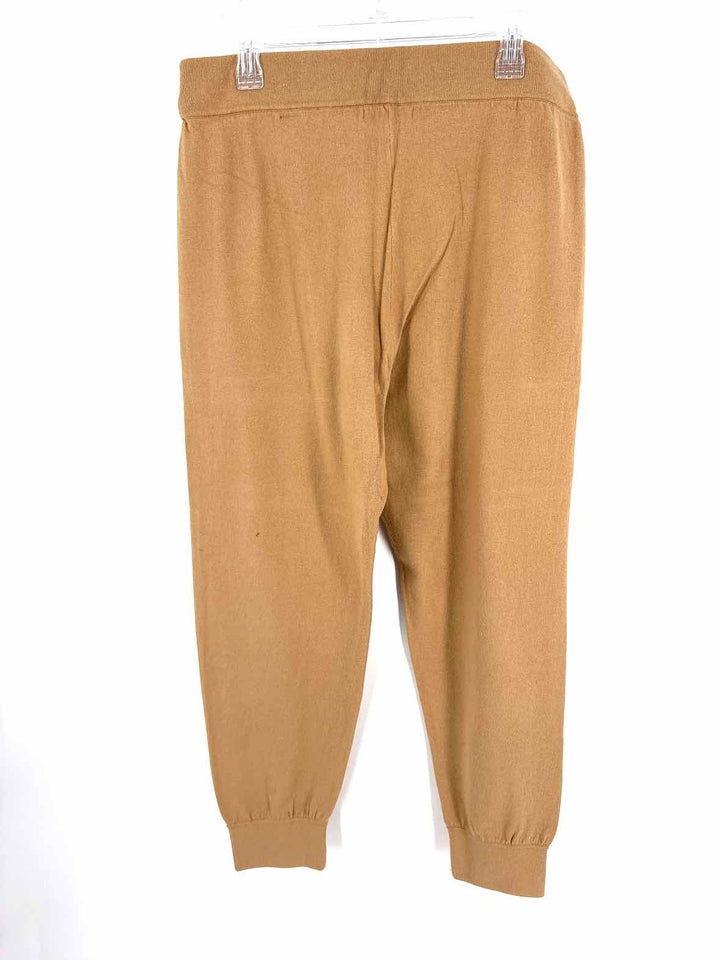 Size L Banana Republic Brown Pants