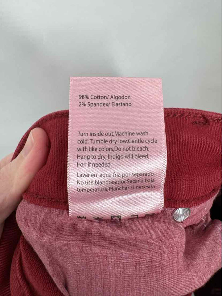 Size 26 RISEN Burgundy Pants