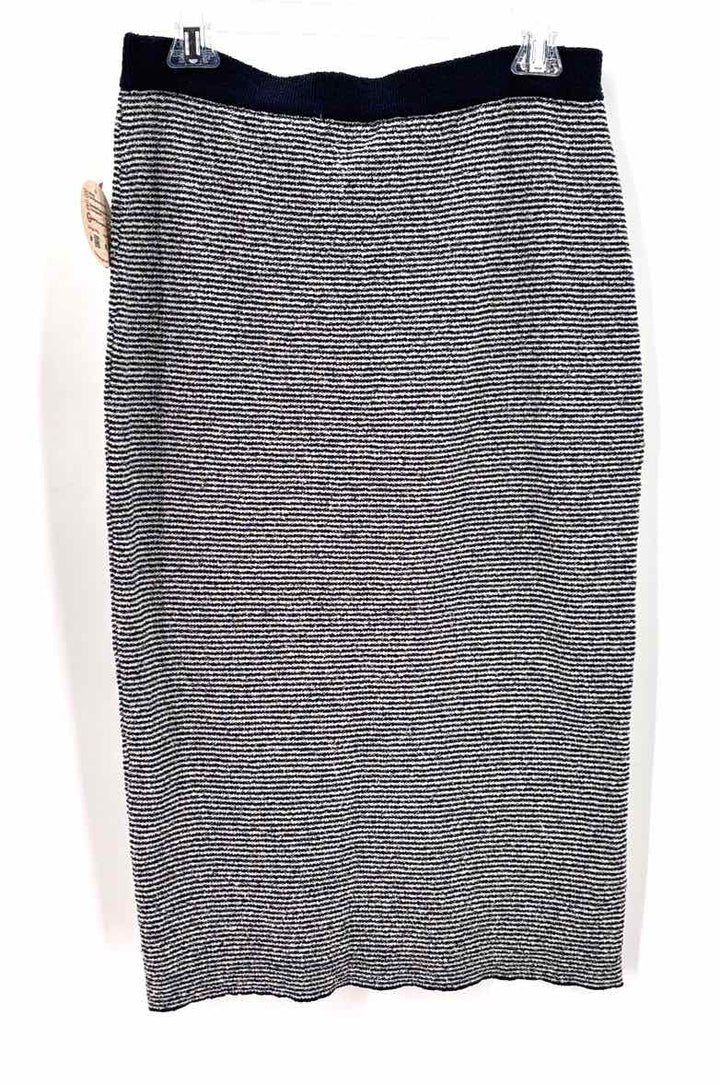 Size L ZARA Blue Skirt