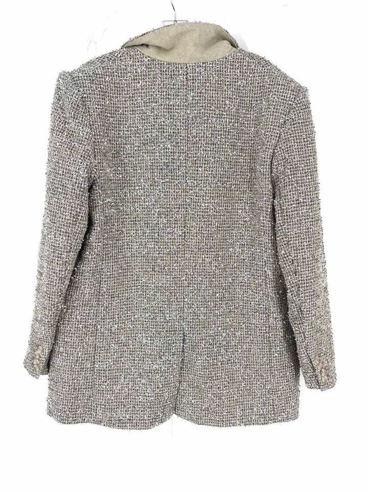 Size 12 Banana Republic Silver Blazer