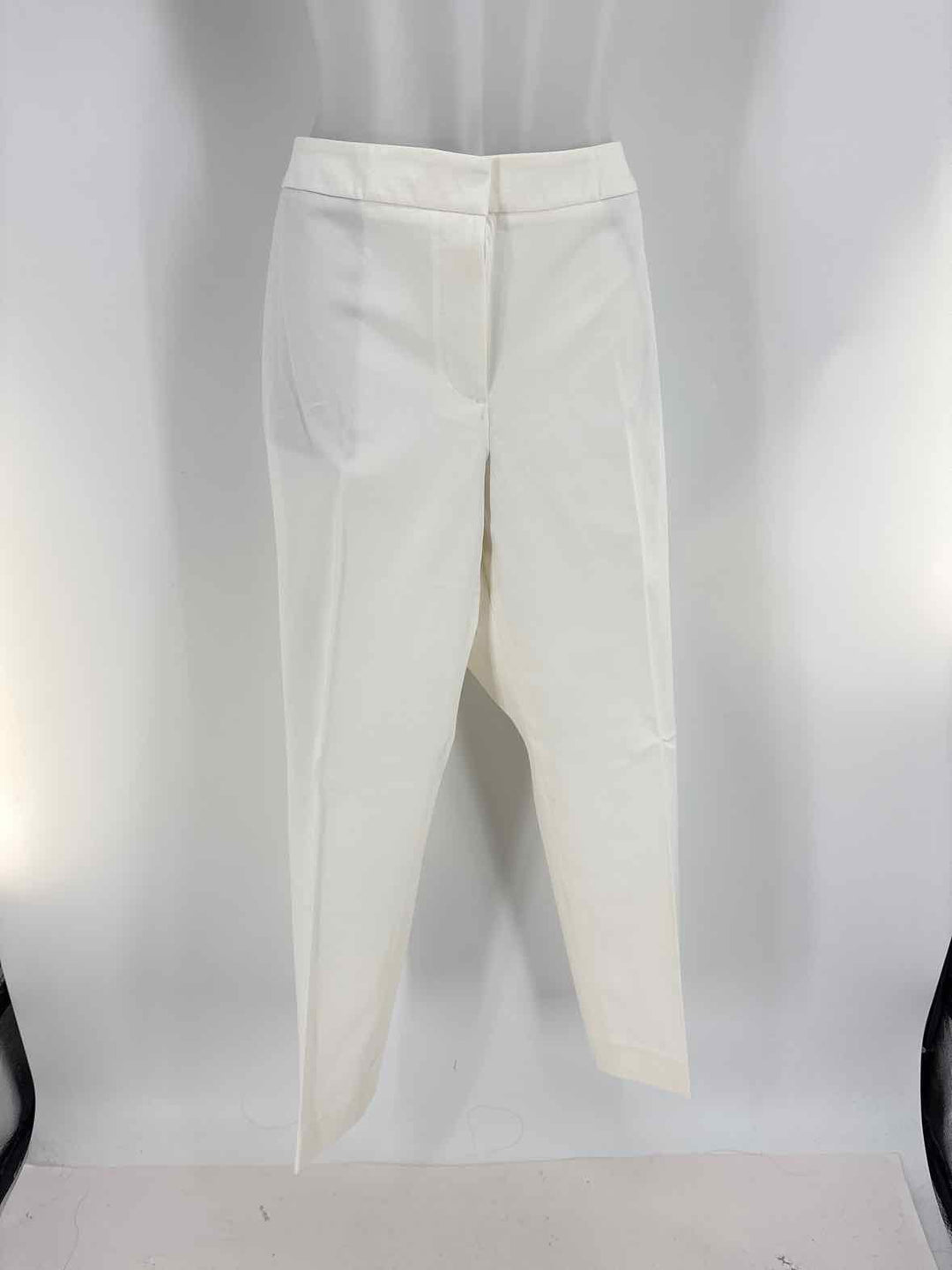 Size 14 Talbots Ivory Pants