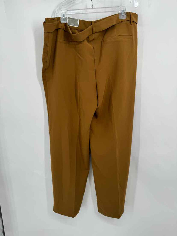 Size XL Chico's Mustard Pants