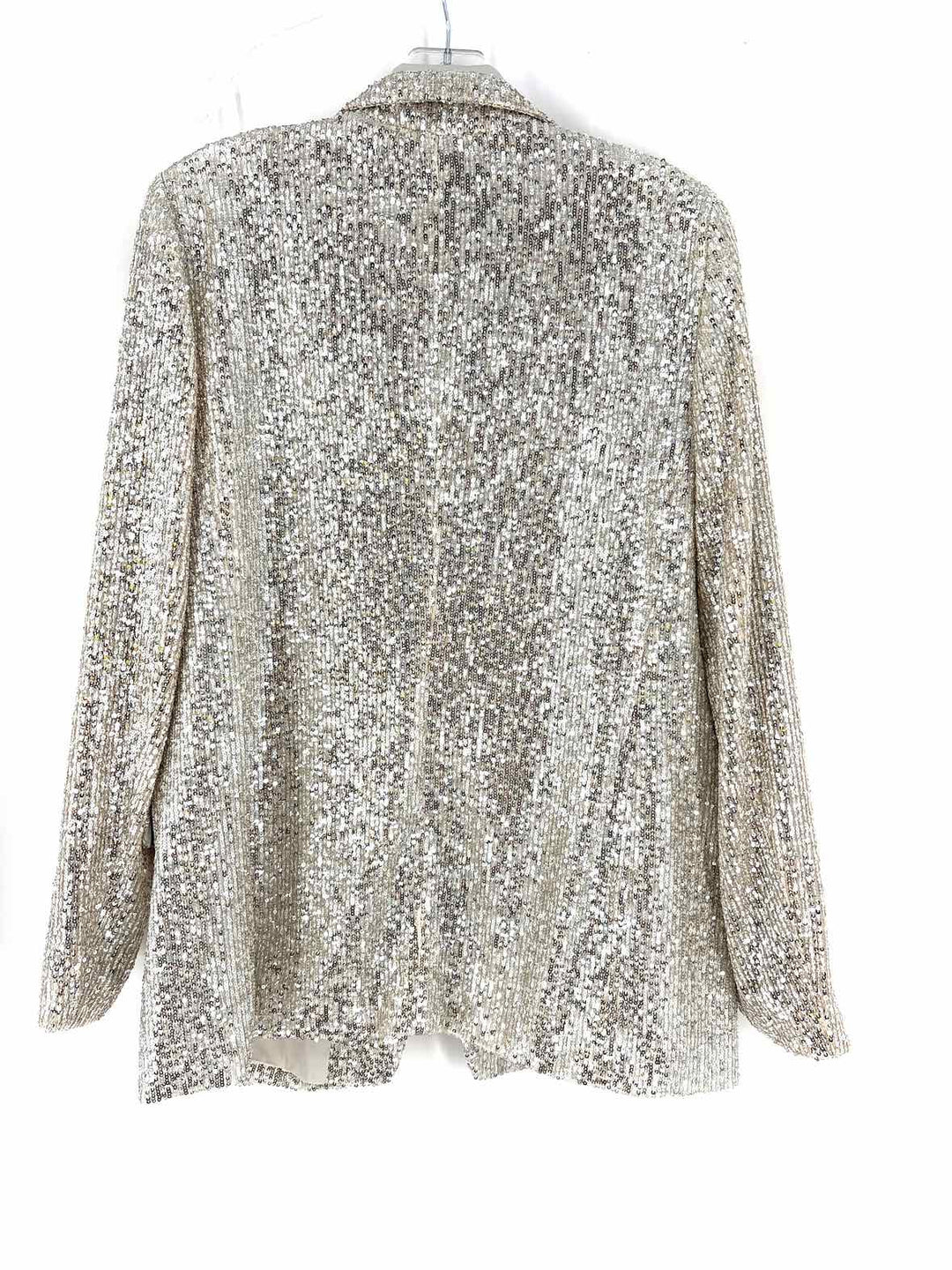 Size 12 Banana Republic Silver Blazer