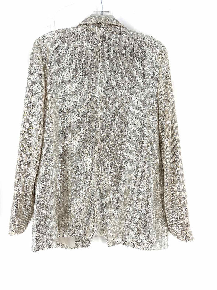 Size 12 Banana Republic Silver Blazer