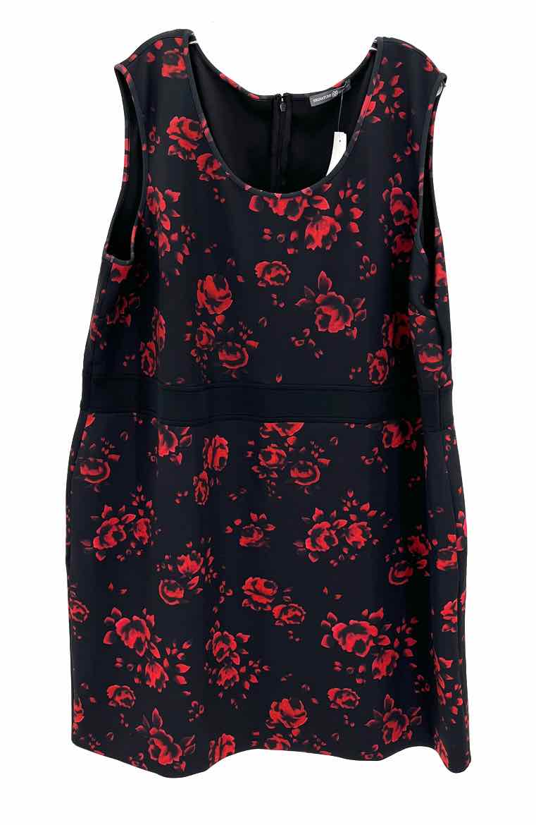 Size 2X Red Dress