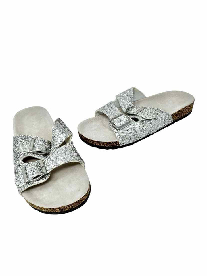Shoe Size 9 Silver Sandals