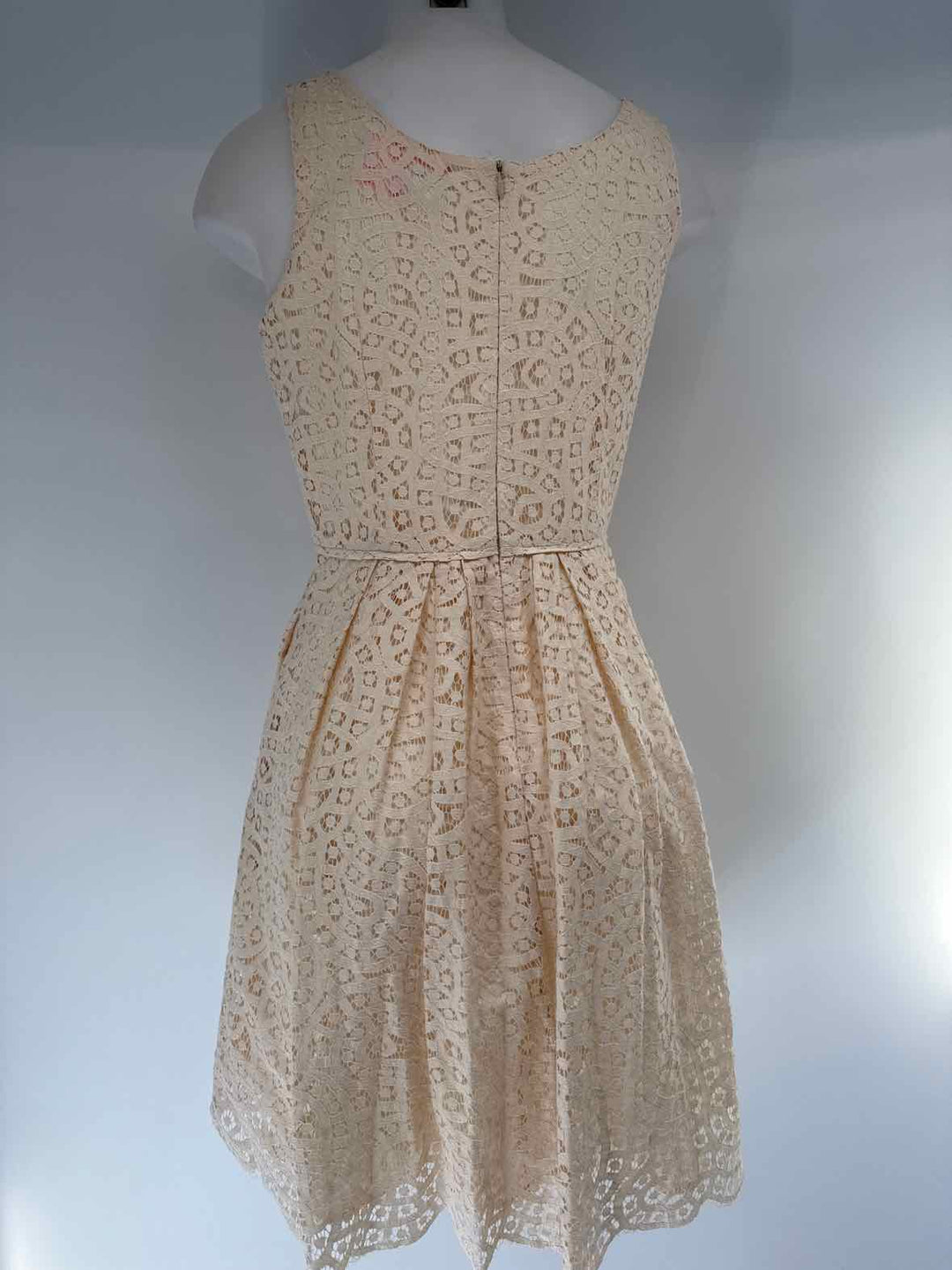 Size 6 J Crew Ivory Lace Dress