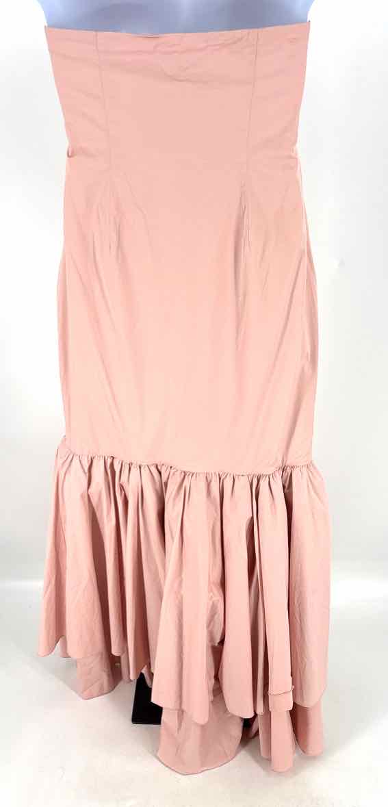 Size XXL Blush Dress