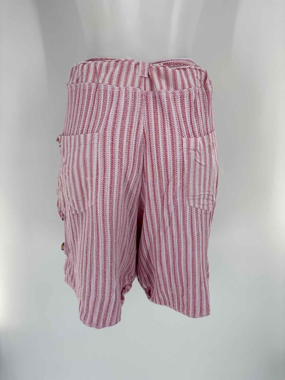 Size XL FREE PEOPLE Pink Shorts