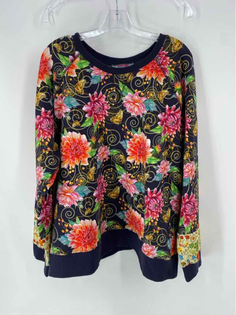 Size XL Johnny Was Multi-Color Sweater