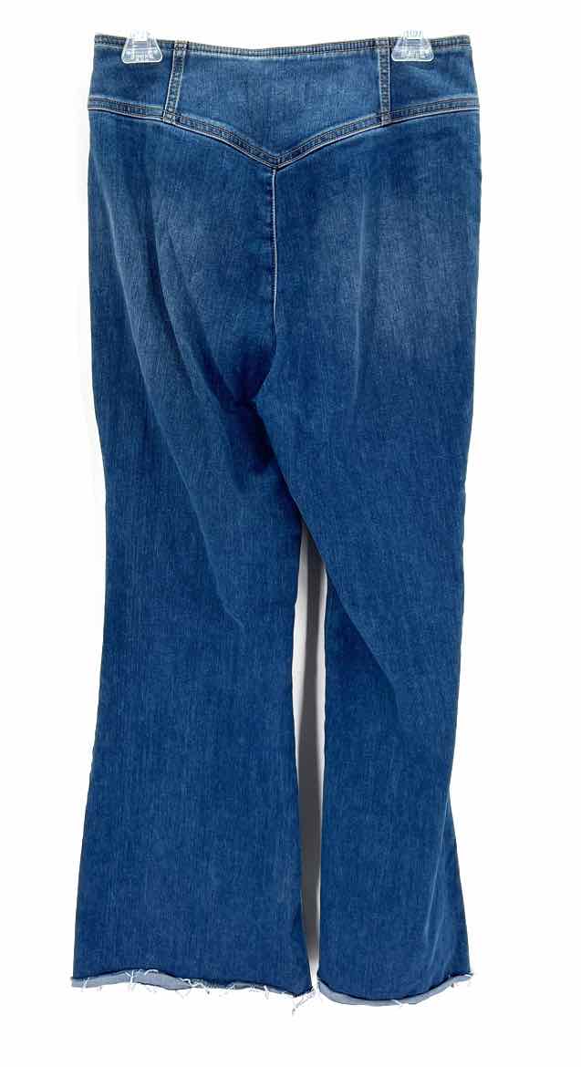 Size 27 WE THE FREE Denim Pants