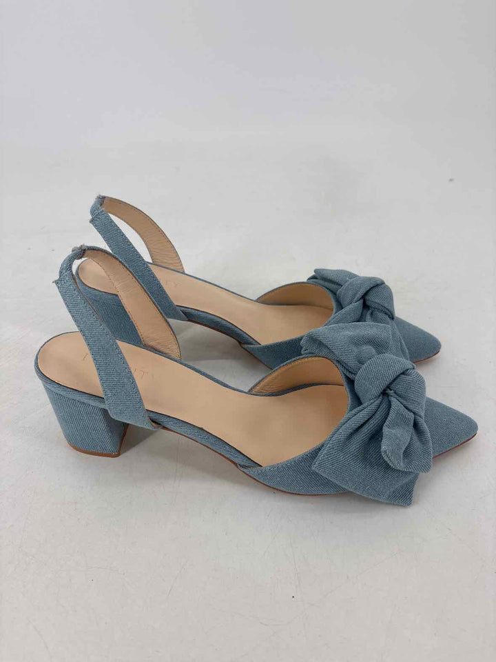 Shoe Size 9.5 Denim Pumps