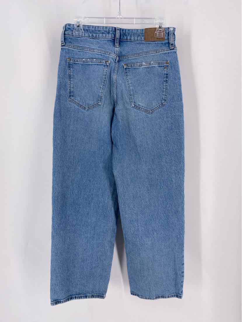 Size 27 MADEWELL Denim Pants