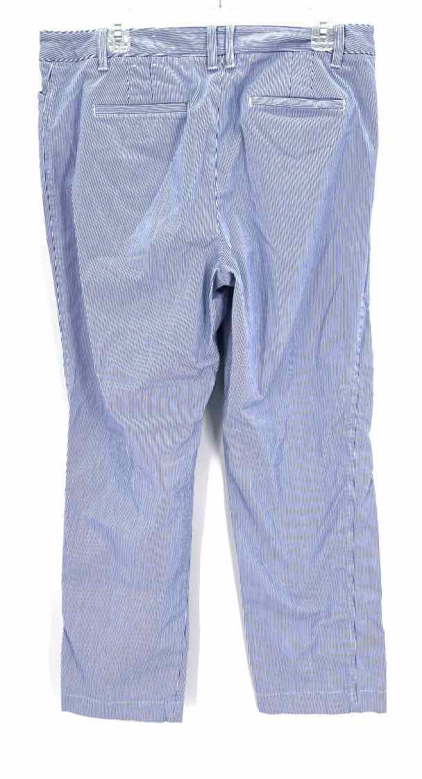 Size 14 Talbots Blue Pants