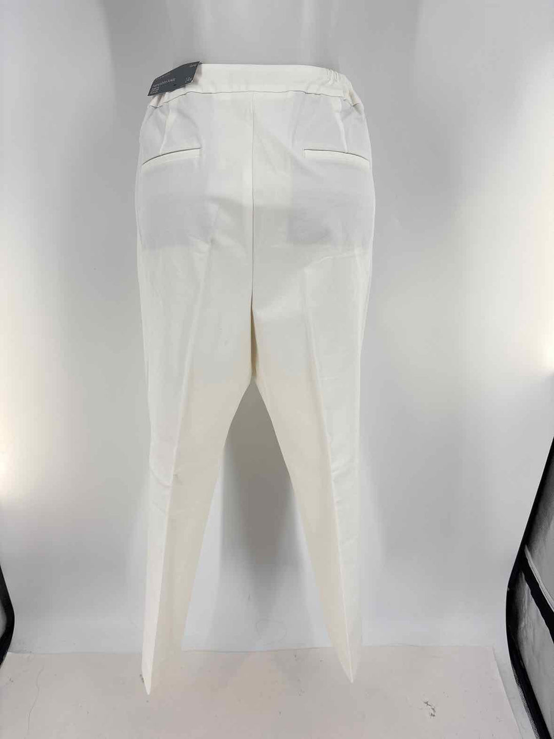 Size 14 Talbots Ivory Pants