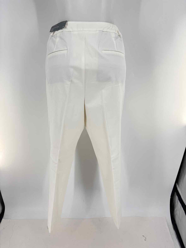 Size 14 Talbots Ivory Pants