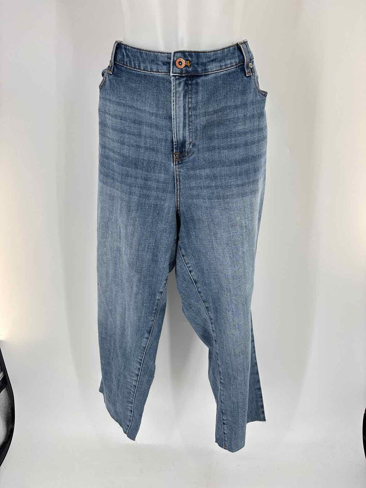 Size 24 Talbots Denim Pants