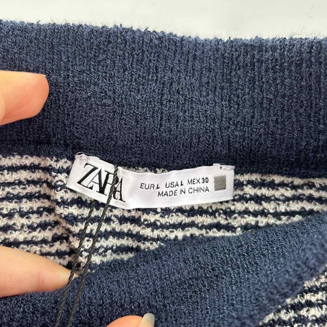 Size L ZARA Blue Skirt