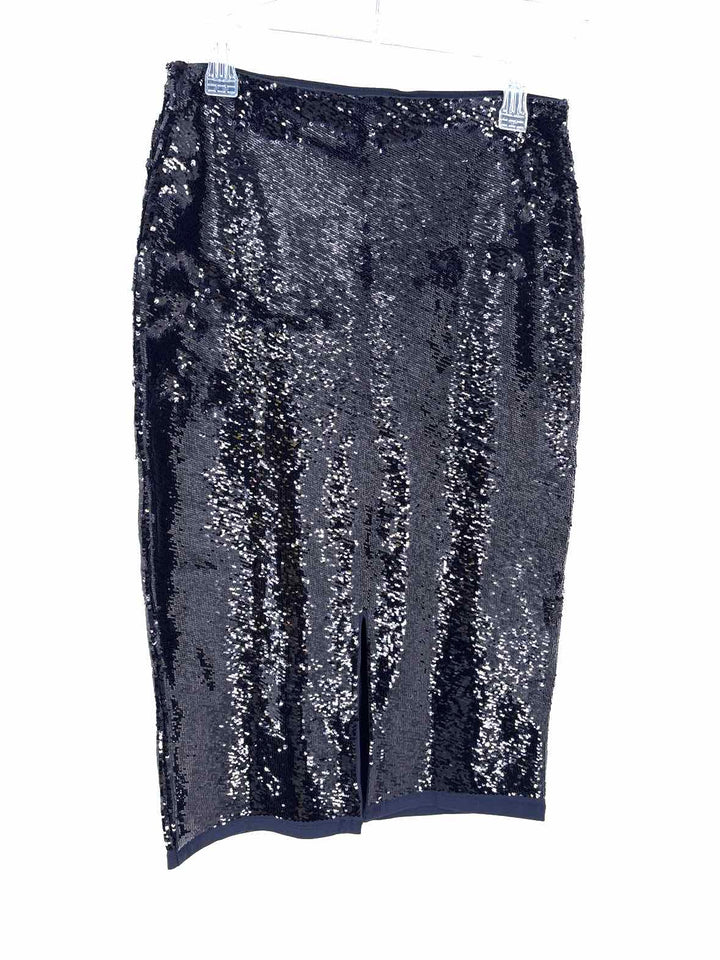 Size S J Crew Navy Skirt