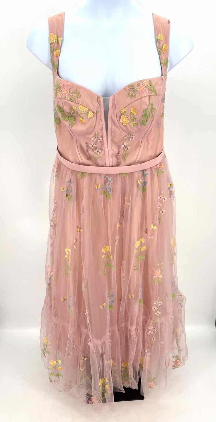 Size 20 Blush Mesh Dress