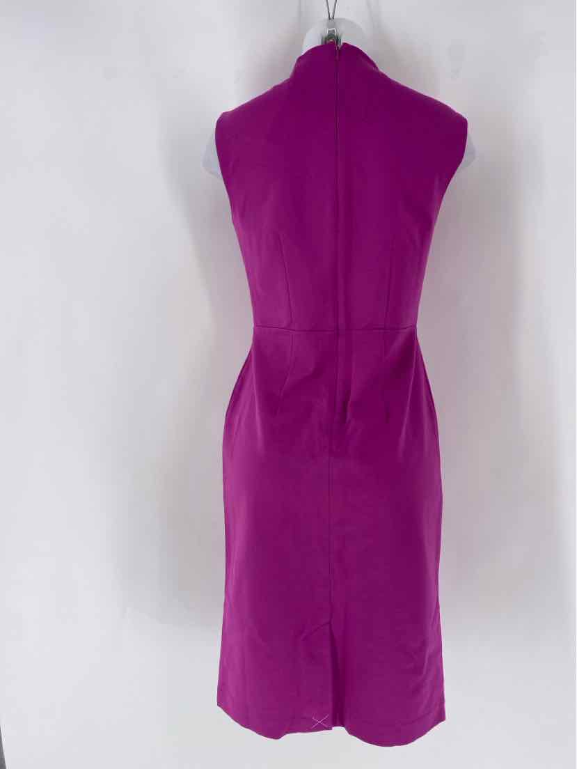 Size 2 Ann Taylor Fuschia Dress