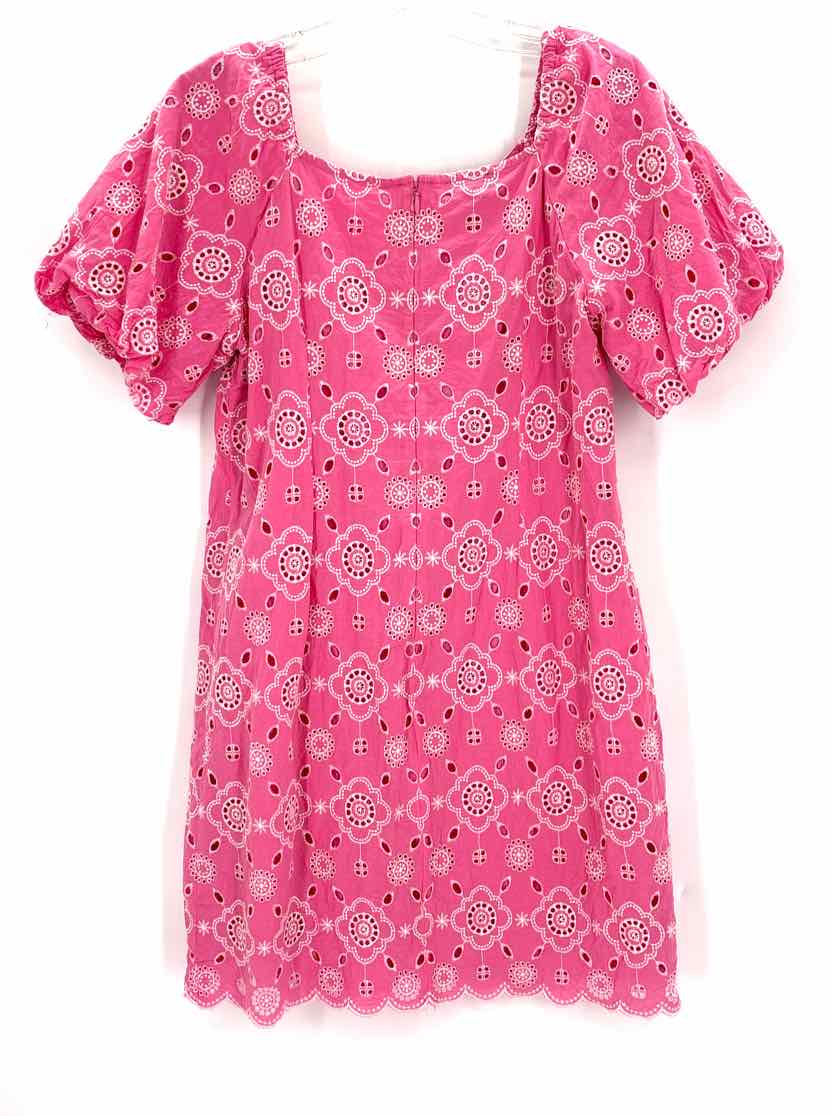 Size 6P Talbots Pink Dress