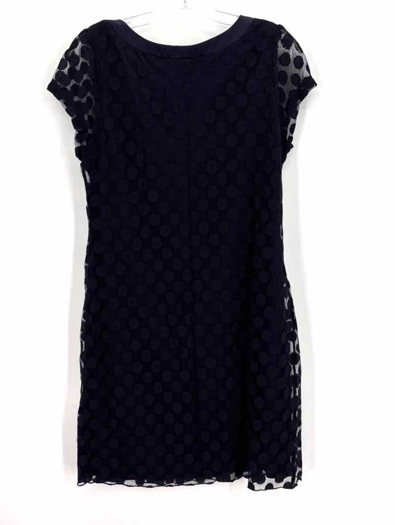 Size 12 ENFOCUS Navy Lace Dress