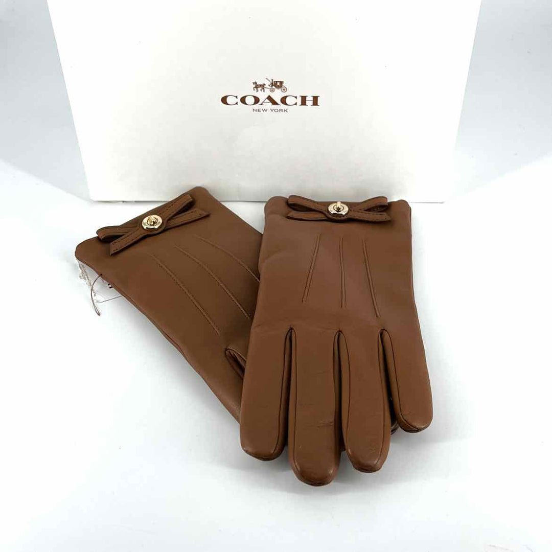 Coach Gloves