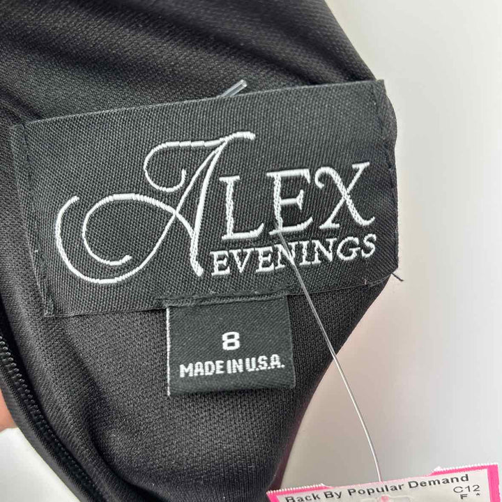 Size 8 ALEX EVENING Black Mesh Dress