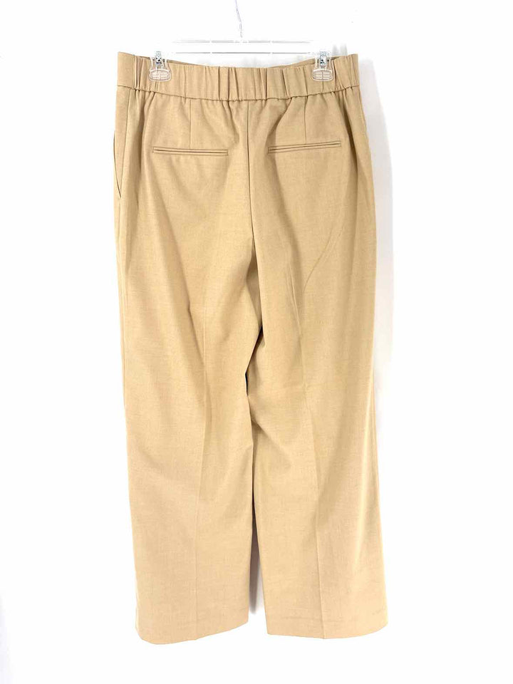 Size 8 Ann Taylor Tan Pants