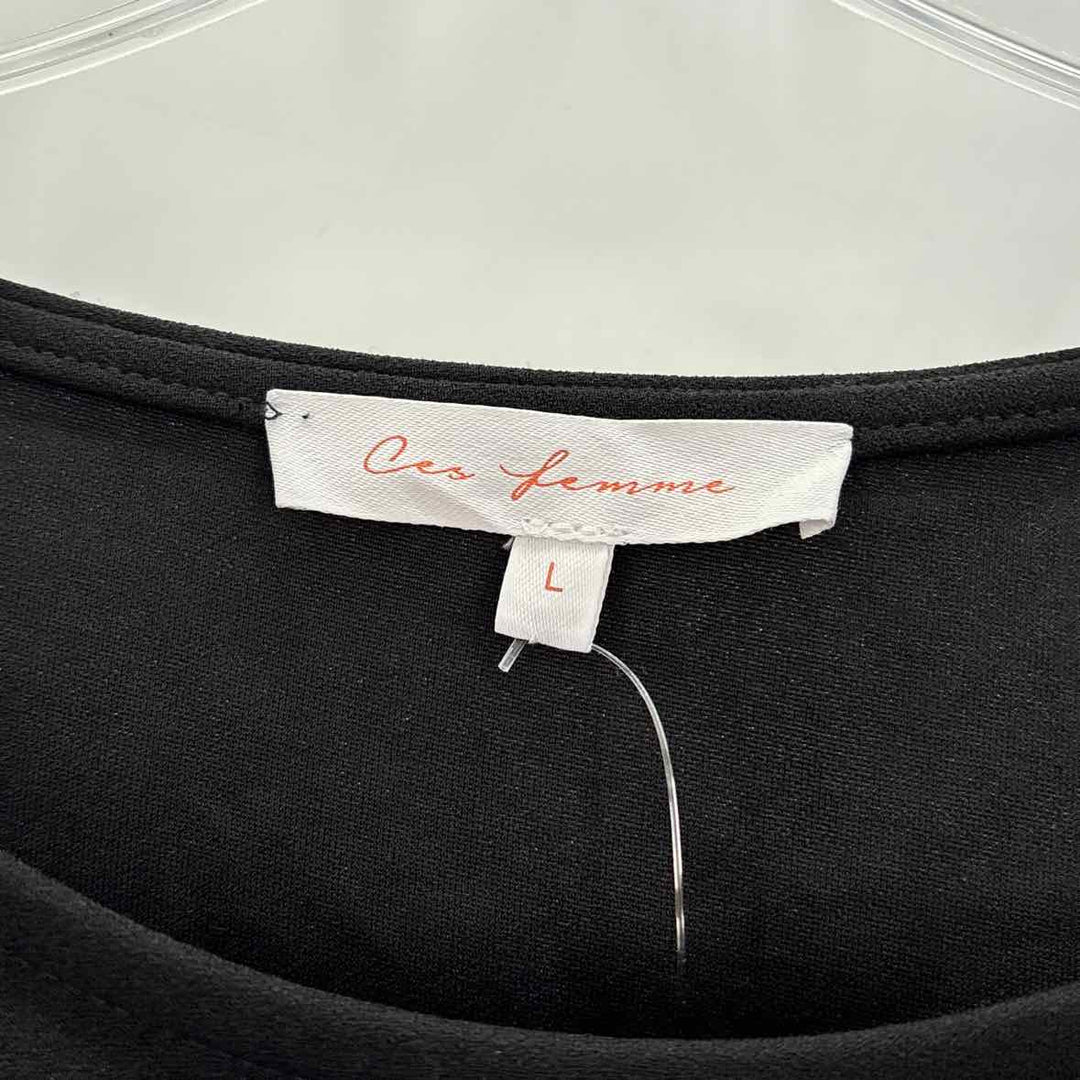 Size L Black Dress