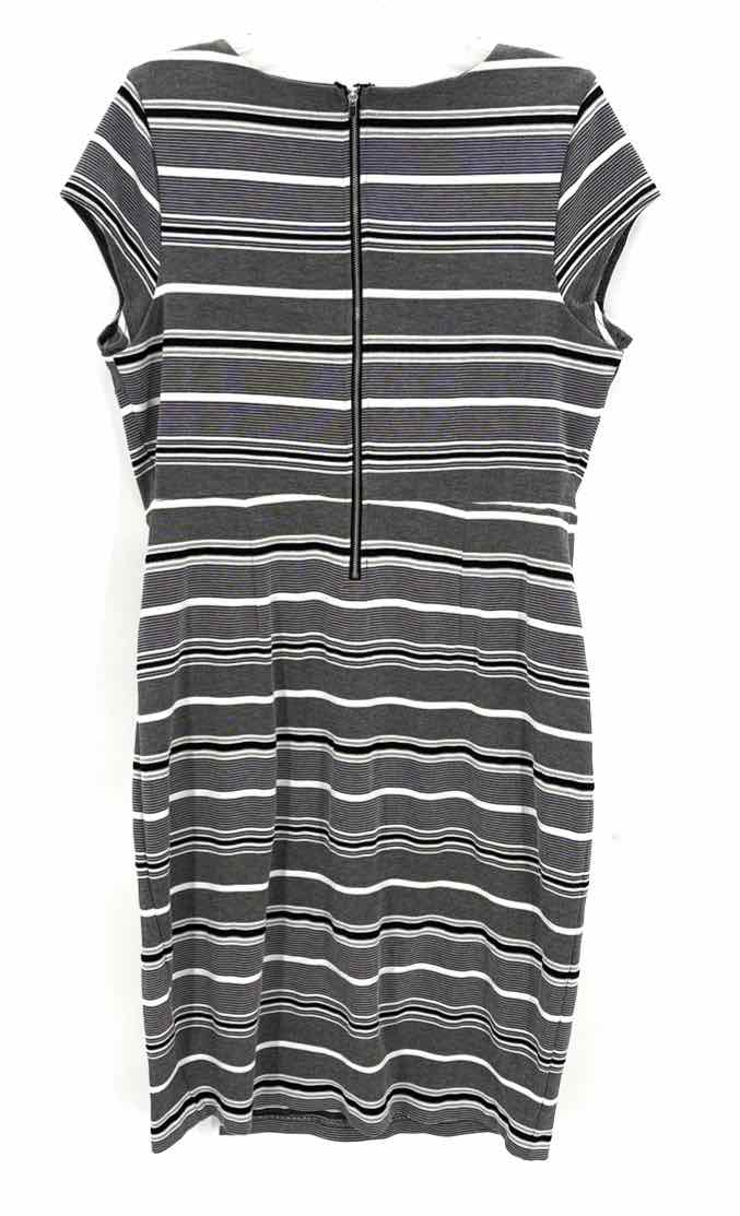 Size XL EXPRESS Black Dress