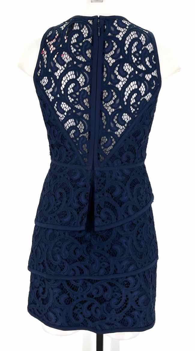 Size 4 BCBG Navy Lace Dress