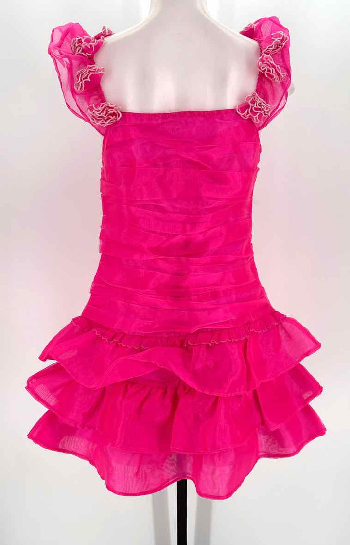 Size 8 LOVE SHACK FANCY Pink Organza Silk Dress