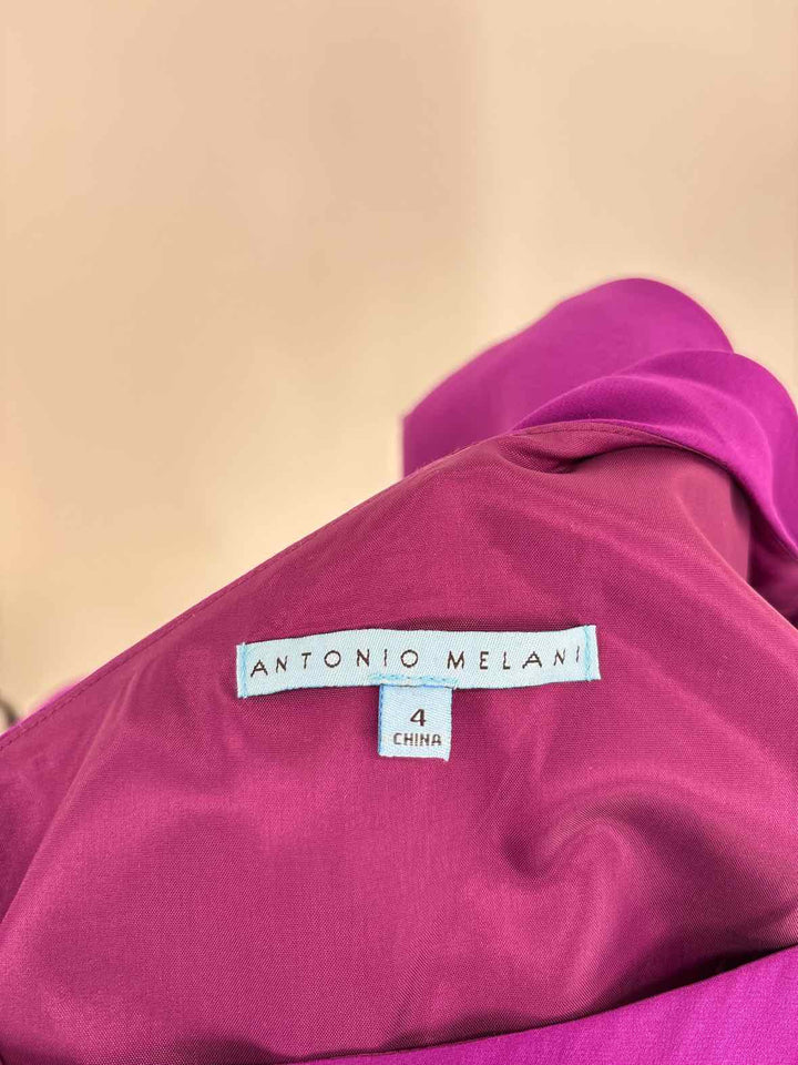 Size 4 ANTONIO MELANI Purple PROM