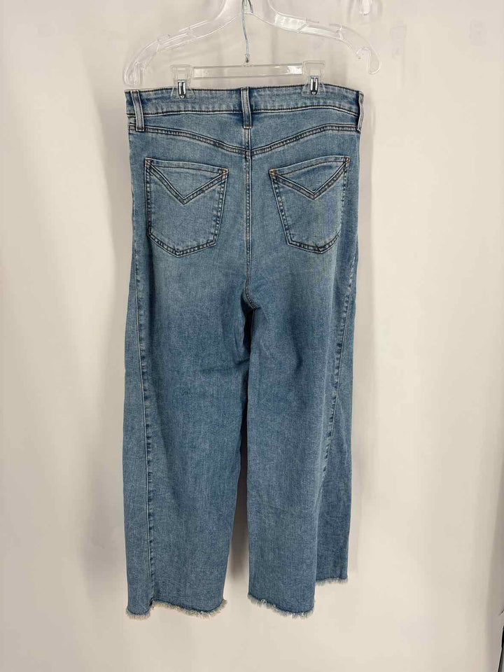 Size 10P Chico's Denim Jeans
