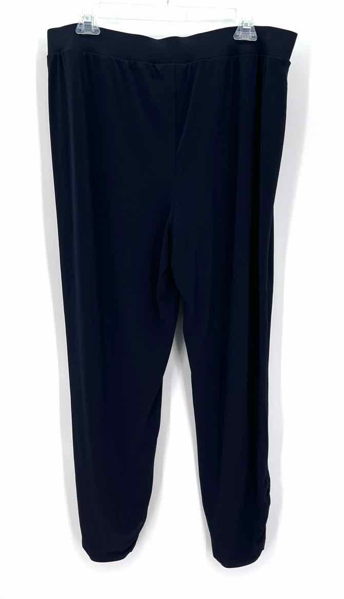 Size L Chico's Navy Pants