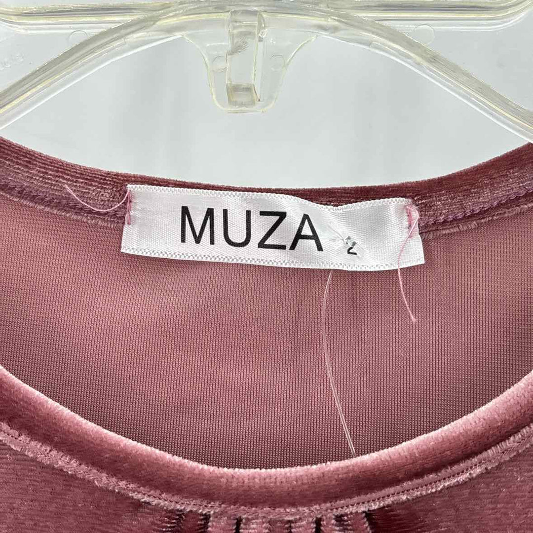 Size 2 Mauve Velour Dress