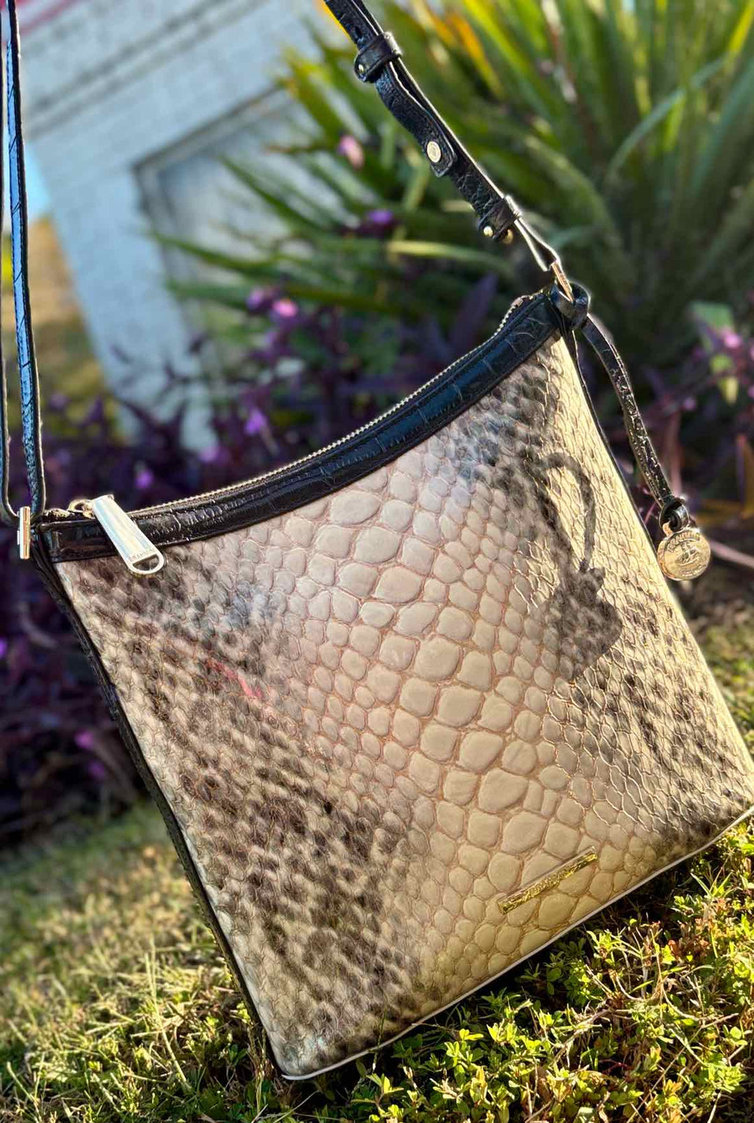 Brahmin Purse